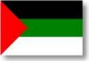 Hejaz flag