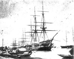 Shannon in Calcutta